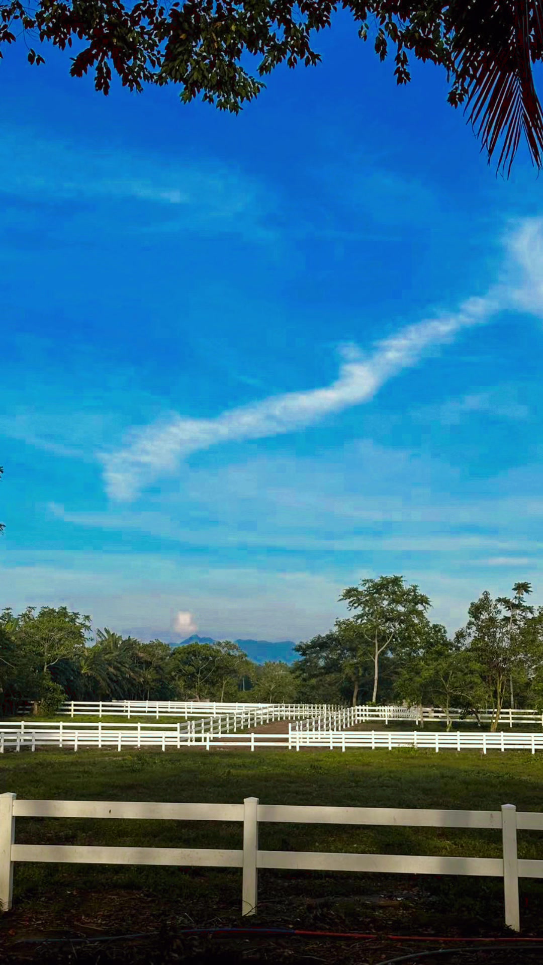 Kuumba Horse Riding & Cafe